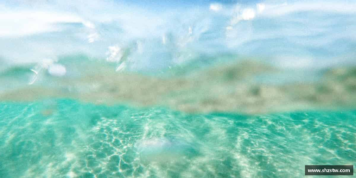 了解好博(中国)体育